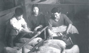 bbin直营网73届学生陈震宇（右一）